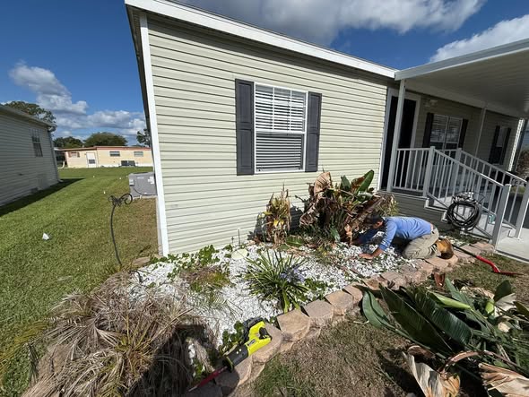 Landscape bed cleanup in progress with dead fronds removed