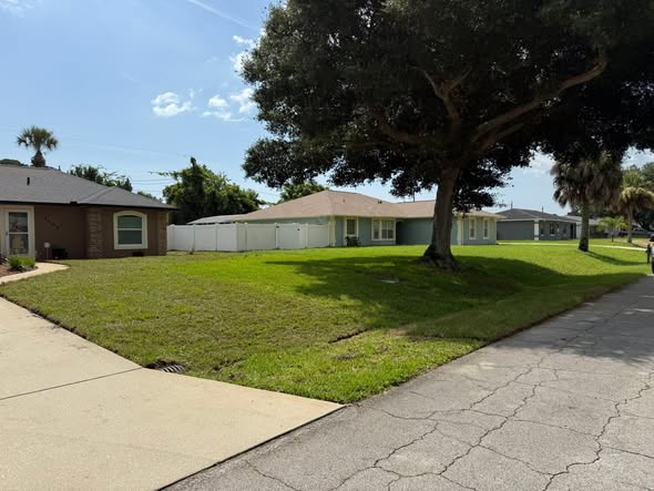Freshly mowed front yard with a large shade tree